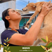 unila-prote-animales-2