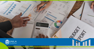 unila-licenciatura-en-administración-skills-financieras