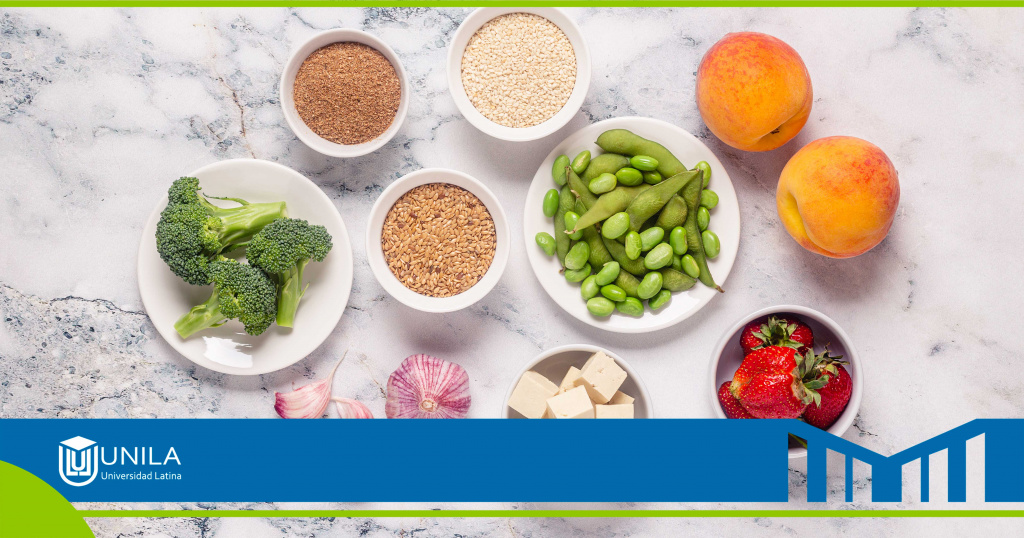 unila-licenciatura-en-gastronomía-platillos-deliciosos