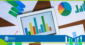 unila-Maestría-en-Dirección-y-Marketing-Digital-(SEP)-metricas-kpis