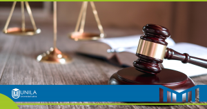 licenciatura en derecho