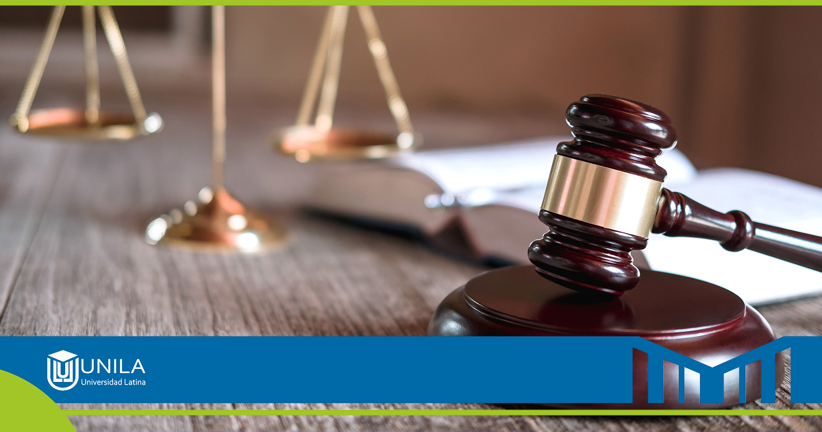 licenciatura en derecho