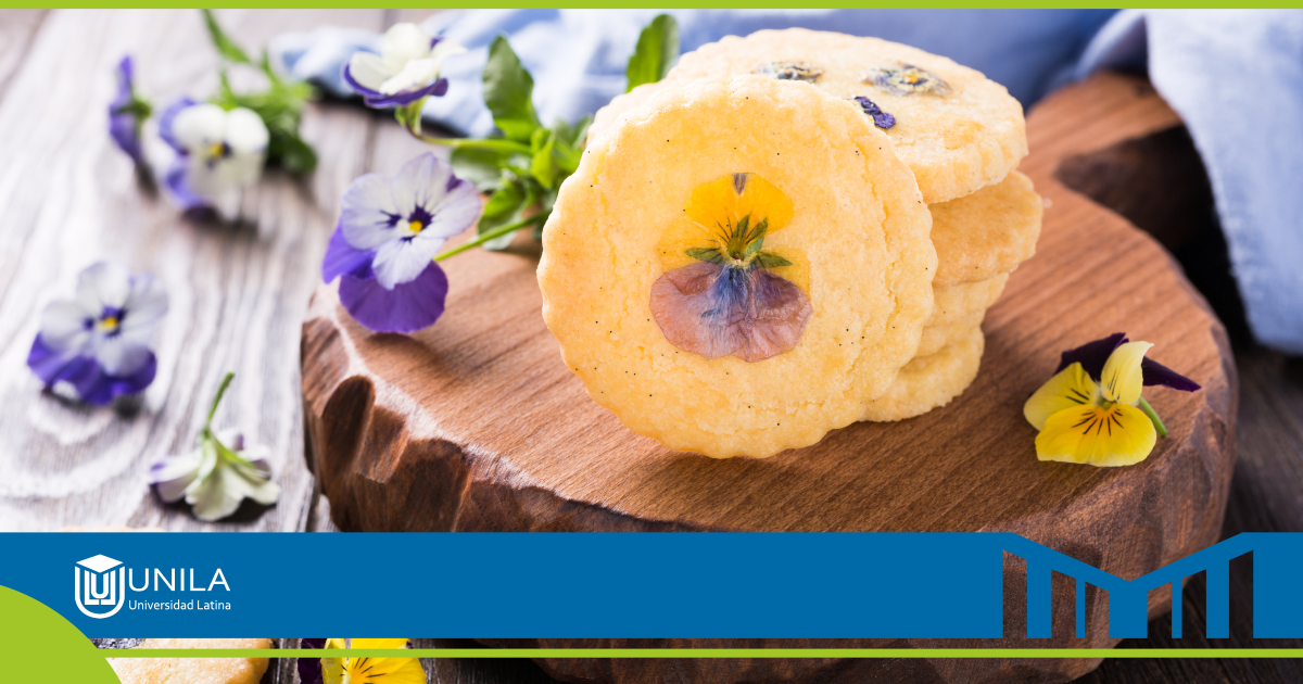 Licenciatura en gastronomía